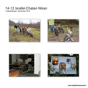 Mooie foto's van Nikan in december, Nikan is bijna 6 mnd